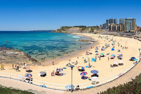 Newcastle Scenic Explorer - 2 Hour Tour By Minibus - Tourism Brisbane 16