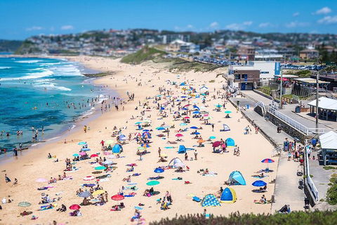 Newcastle Scenic Explorer - 2 Hour Tour By Minibus - Tourism Brisbane 6