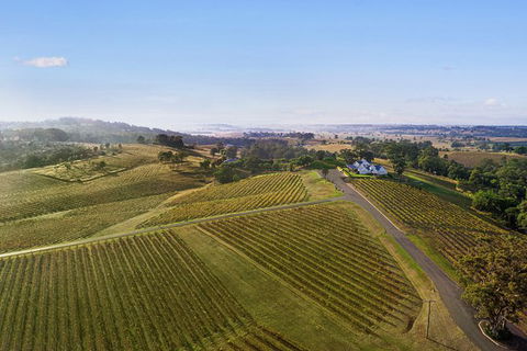 Audrey Wilkinson Vineyard: Fromage And Fortified Wine Experience - Tourism Brisbane 1