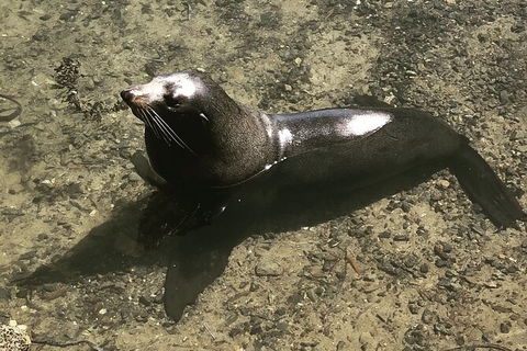 South Coast Photography Field Day - Brisbane Tourism 5