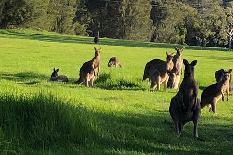South Coast Photography Field Day - Brisbane Tourism 6