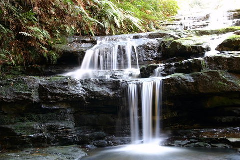 Private 10-hour Tour To Blue Mountains From Sydney - Hotel Pick Up & Drop Off - Brisbane Tourism 6