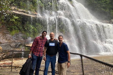 Blue Mountains Highlights & Wildlife Park - Tourism Brisbane 4