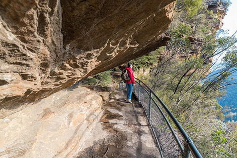 Blue Mountains Highlights & Wildlife Park - Tourism Brisbane 0