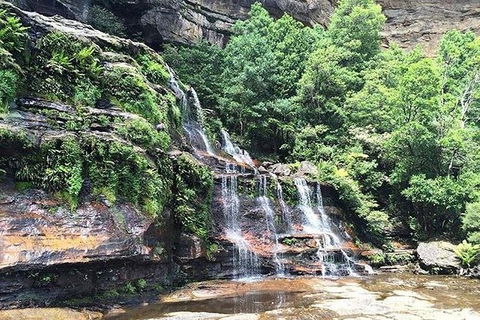 Blue Mountains Highlights & Wildlife Park - Tourism Brisbane 8