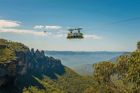 Blue Mountains Highlights, Wildlife Park And Scenic World Full Day Private Tour - Brisbane Tourism 0
