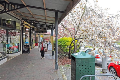 Blue Mountains Highlights, Wildlife Park And Scenic World Full Day Private Tour - Brisbane Tourism 2