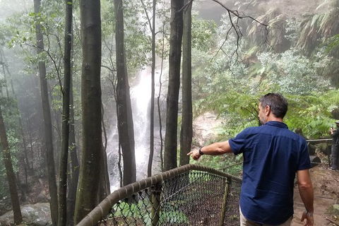 Blue Mountains Highlights, Wildlife Park And Scenic World Full Day Private Tour - Brisbane Tourism 6