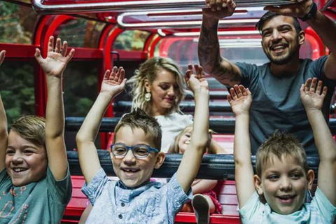 Blue Mountains Highlights, Wildlife Park And Scenic World Full Day Private Tour - Brisbane Tourism 5