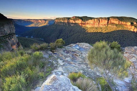 Blue Mountains Highlights, Wildlife Park And Scenic World Full Day Private Tour - Brisbane Tourism 4