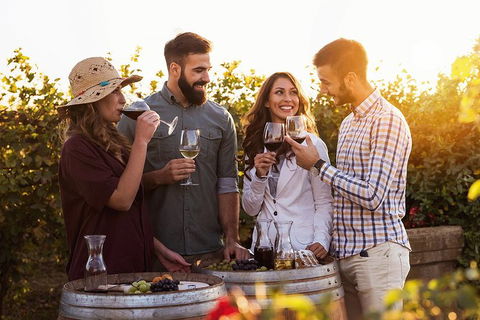 Hunter Valley Highlights Private Wine Tour From Sydney - Tourism Brisbane 0