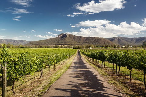 Hunter Valley Highlights Private Wine Tour From Sydney - Tourism Brisbane 2
