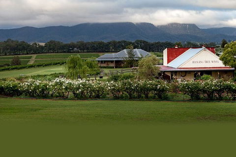 Hunter Valley Highlights Private Wine Tour From Sydney - Tourism Brisbane 5