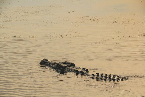Yellow Water Cruise - Kakadu - Tourism Brisbane 5