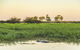 Yellow Water Cruise - Kakadu - thumb 4