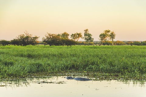 Yellow Water Cruise - Kakadu - Tourism Brisbane 4