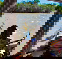 Jumping Crocs  Nature Adventure Cruise from Darwin - Tourism Brisbane