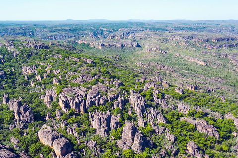 Jabiru 30 Minute Scenic Flight - Brisbane Tourism 1