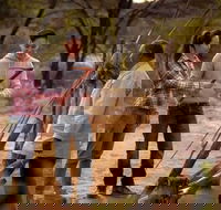 Karrke Aboriginal Cultural Experience - Tourism Brisbane