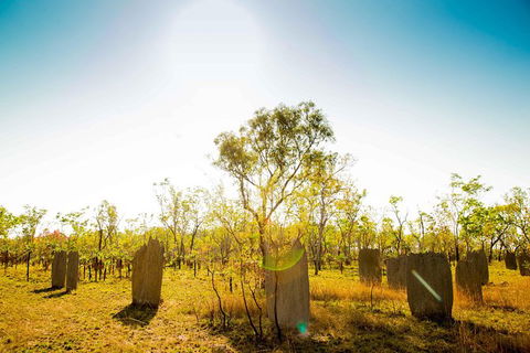 Litchfield National Park Waterfalls Day Trip From Darwin Including Termite Mounds And Lunch - Tourism Brisbane 1