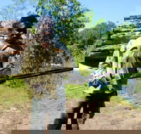 Kakadu  Arnhem Land tour Camping tour - Tourism Brisbane