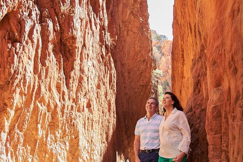 Best Of Alice Springs Full Day Tour - Brisbane Tourism 4