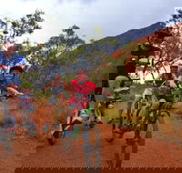 From Yulara Discover Uluru Half Day Bike Tour - Tourism Brisbane
