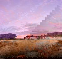 Sunset Australian Barbecue Dinner in Uluru - Tourism Brisbane