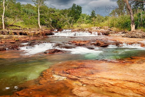 Full-Day Private Guided Tour To Litchfield National Park - Tourism Brisbane 14