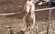Full-Day Private Guided Tour To Litchfield National Park - thumb 10