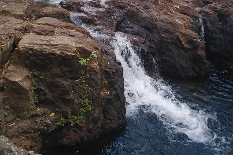 Full-Day Private Guided Tour To Litchfield National Park - Tourism Brisbane 8