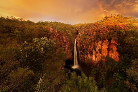 Full-Day Private Guided Tour To Litchfield National Park - Tourism Brisbane 20