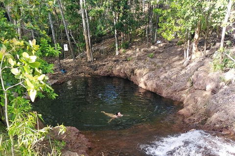 Full-Day Private Guided Tour To Litchfield National Park - Tourism Brisbane 18