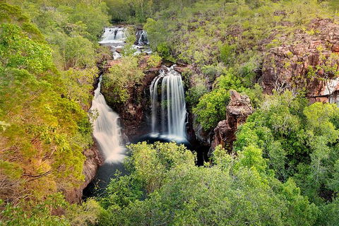 Full-Day Private Guided Tour To Litchfield National Park - Tourism Brisbane 0
