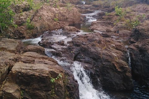 Full-Day Private Guided Tour To Litchfield National Park - Tourism Brisbane 15