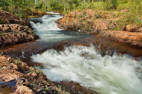 Full-Day Private Guided Tour To Litchfield National Park - Tourism Brisbane 3