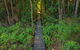 Full-Day Private Guided Tour To Litchfield National Park - thumb 7