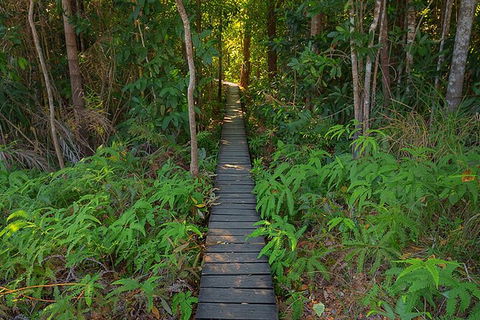 Full-Day Private Guided Tour To Litchfield National Park - Tourism Brisbane 7