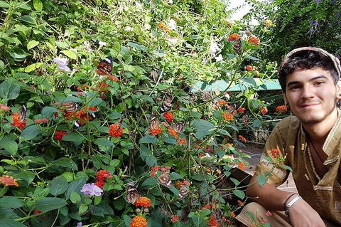 Full-Day Private Guided Tour To Litchfield National Park - Tourism Brisbane 17