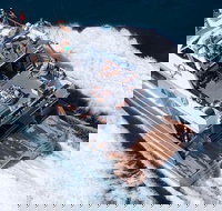 Great Barrier Reef Luxury Snorkel and Dive Cruise from Cairns