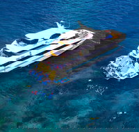 Great Barrier Reef Snorkeling and Diving Cruise from Cairns