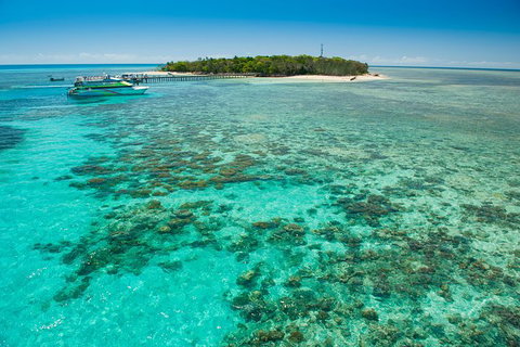 Green Island Day Trip From Cairns - Brisbane Tourism 9
