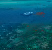 Green Island  Great Barrier Reef Sailing Cruise from Cairns - only 25 guests