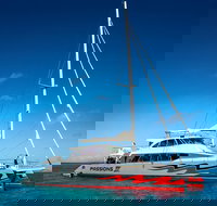 Passions of Paradise Great Barrier Reef Snorkel and Dive Cruise from Cairns by Luxury Catamaran