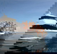 Seastar Luxury Outer Great Barrier Reef Island and Reef Tour from Cairns