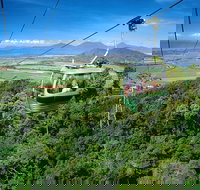 Best of Kuranda Including Skyrail Kuranda Scenic Railway and Rainforestation