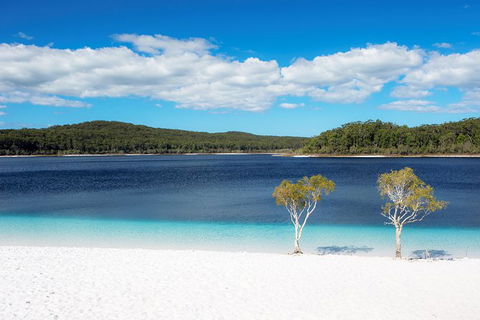All-Inclusive Fraser Island Day Tour - Brisbane 4u 2