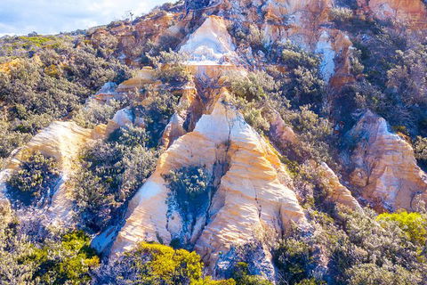 All-Inclusive Fraser Island Day Tour - Brisbane 4u 1