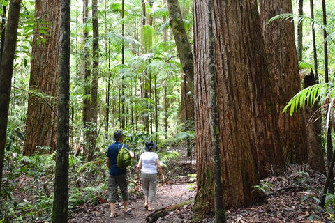 All-Inclusive Fraser Island Day Tour - Brisbane 4u 6