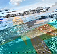 Outer Reef Pontoon Experience from Cairns